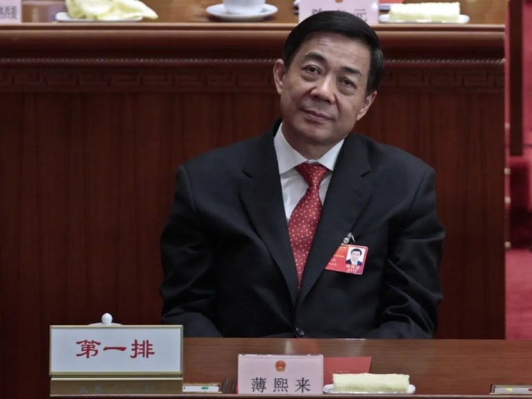 中国：薄熙来的下台10周年（下）